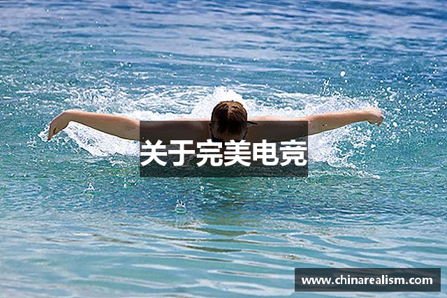 关于完美电竞